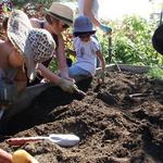 Veggielution Community Farm