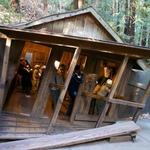 The Mystery Spot