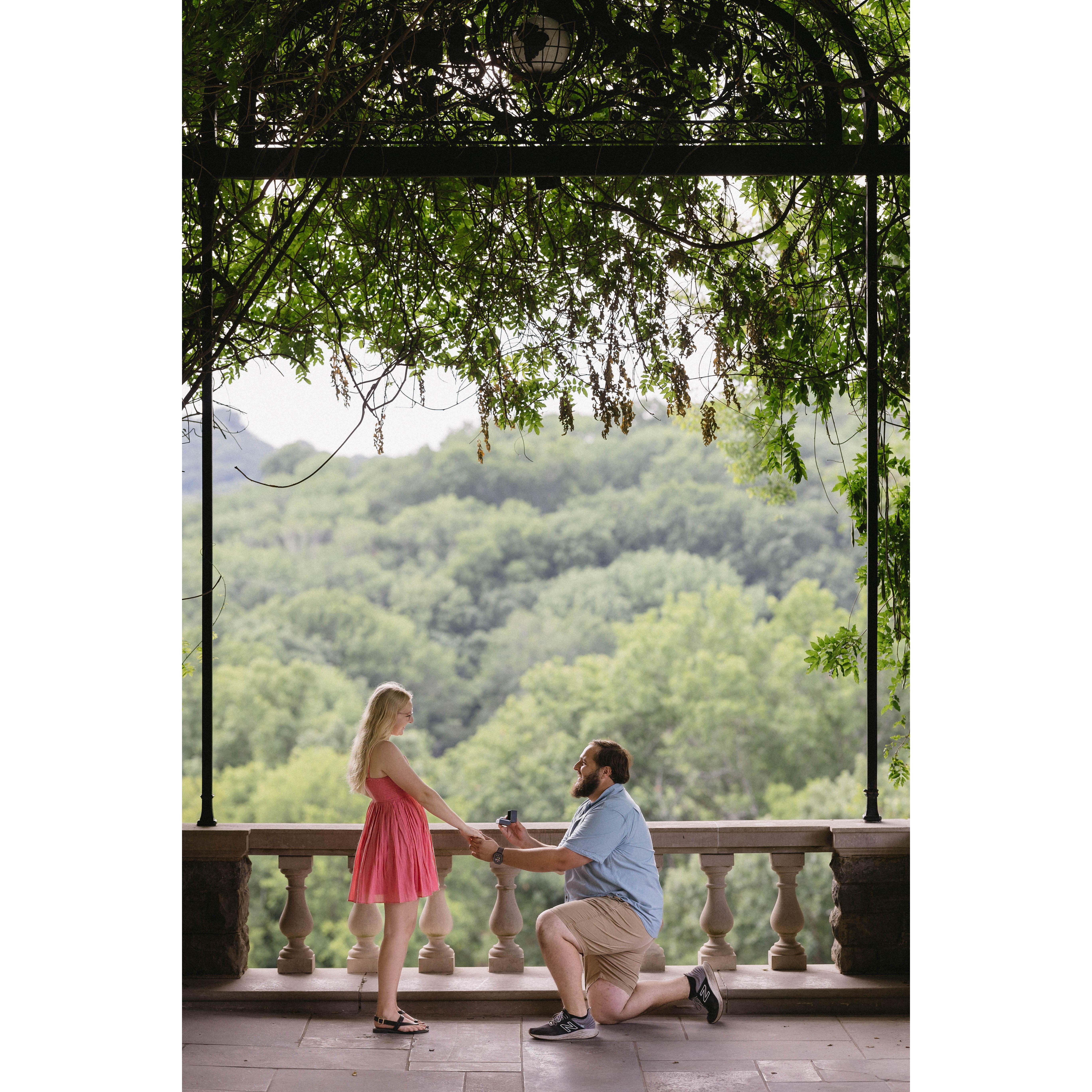 While on a trip to visit Cole & Erica, we  went to Cheekwood Botanical Garden, where Cole works. Here Shaun had hired a photographer to hide and capture the moment!