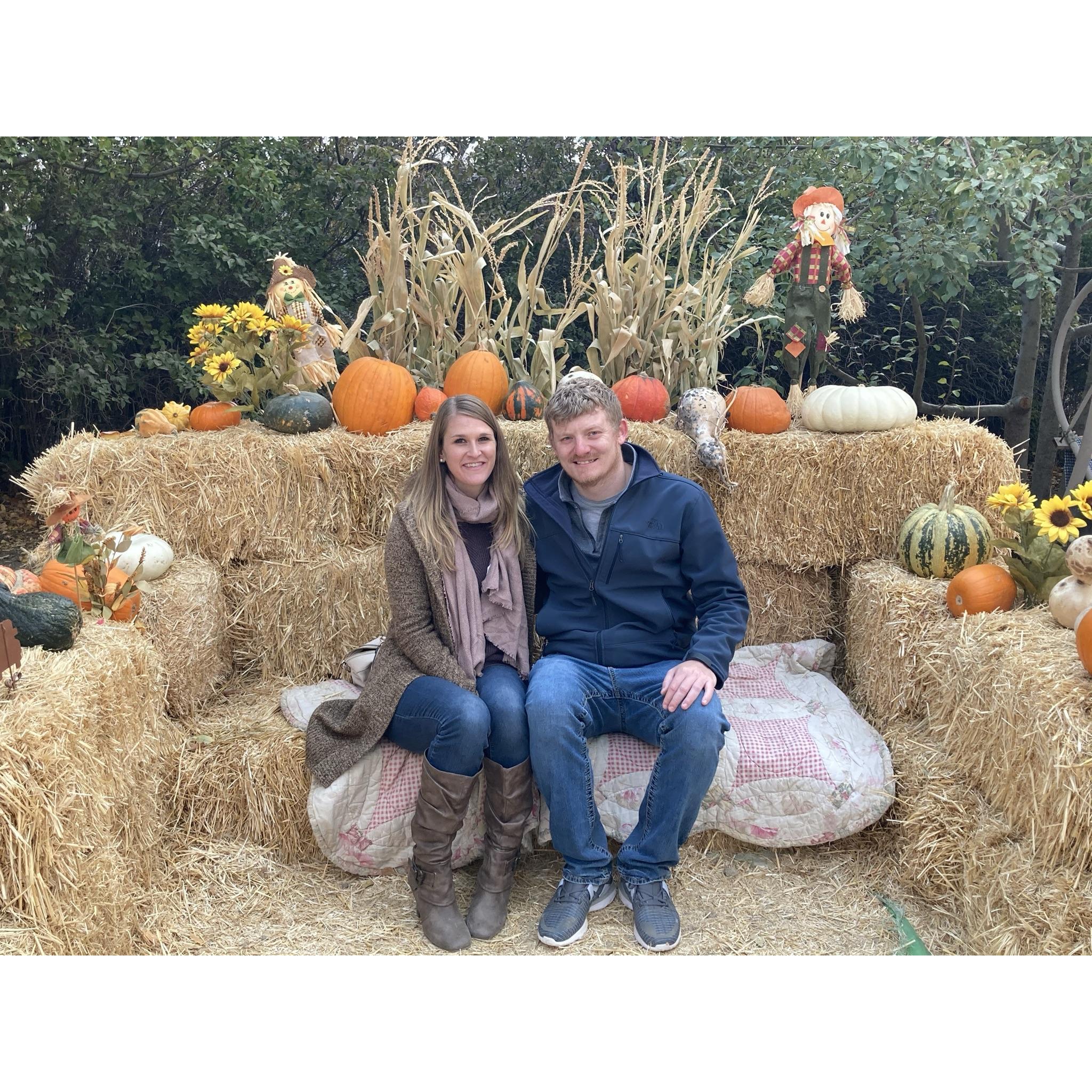 Pumpkin Patch, October 2020