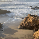 Pescadero State Beach