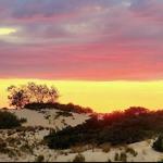Jockey's Ridge State Park