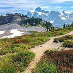 Mount Baker