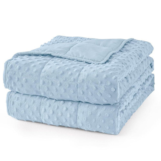 Mr. Sandman Weighted Blanket for Adults Queen Size 20 lbs, Soft Cooling Heavy Minky Blanket for Sleep, Washable Throw Blanket with Glass Beads, 60 x 80 Inches, Light Blue
