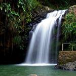 Annandale Waterfall & Forest Park