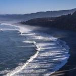 Patricks Point