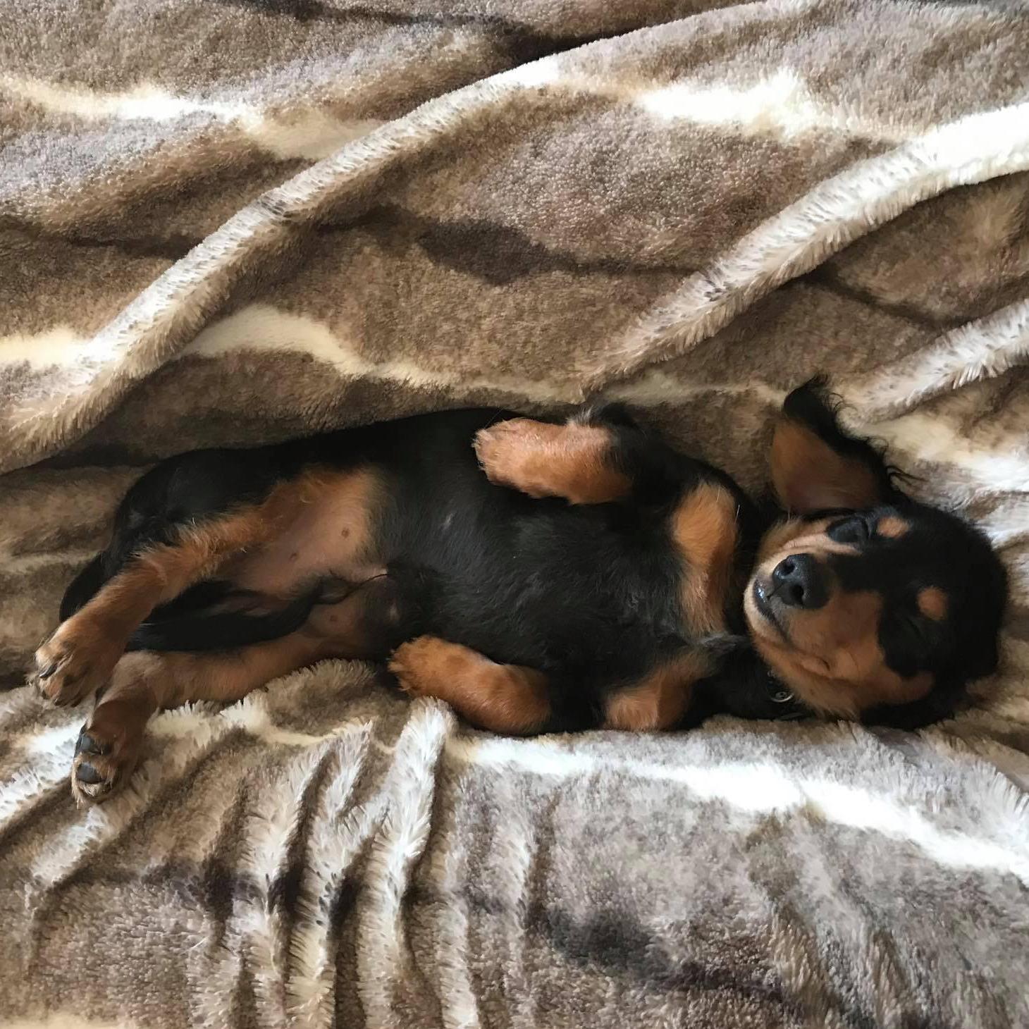 He’s so sleepy. 💤