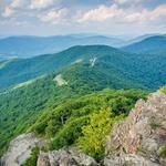 Shenandoah National Park