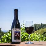 El Dorado Wine Trails