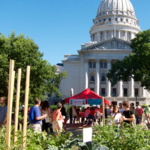 Farmers' Market