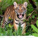 Zoo Miami