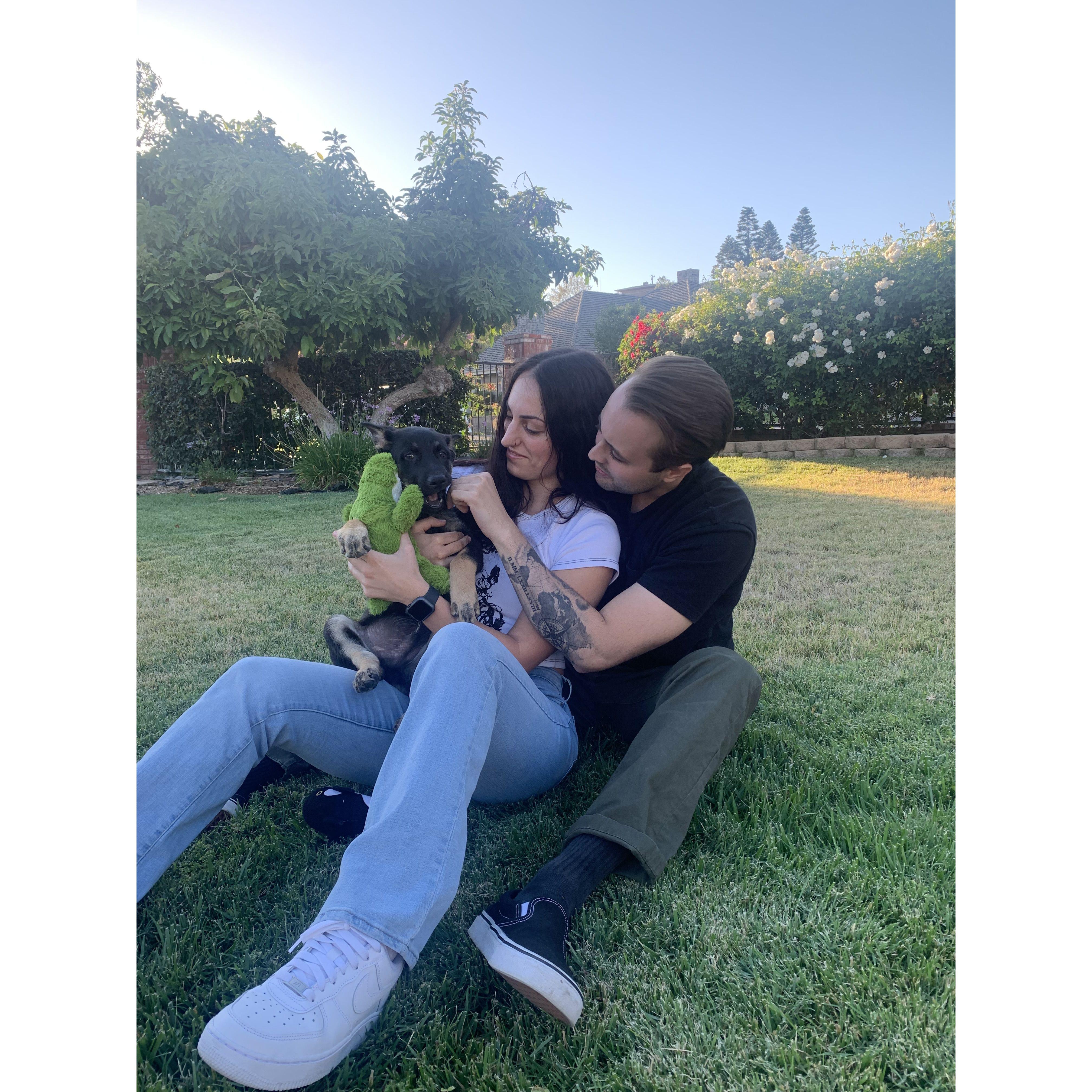 Bucky. Our new little best friend that we somehow convinced Grandpa Marty into letting us get... (It was really easy and he quickly became grandpa's new best friend).