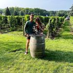 Old Mission Peninsula Wine Trail