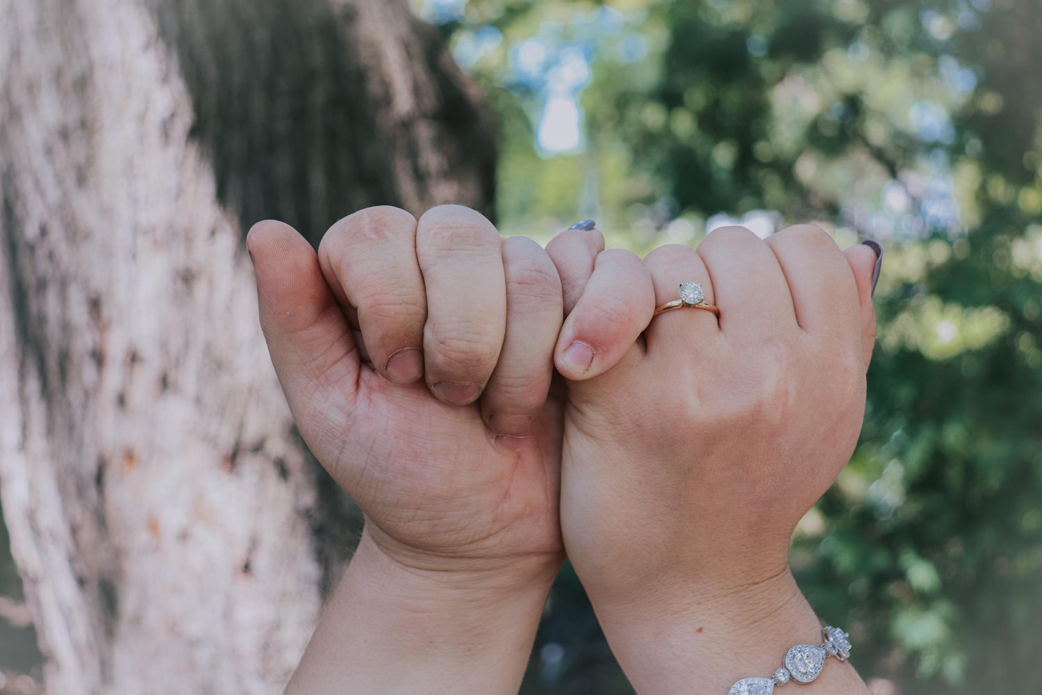 The Wedding Website of Anna Bonjour and Garrett Pikesh