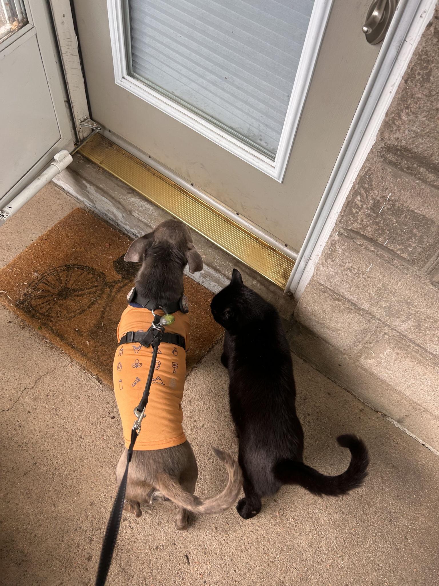 The Wedding Website of Naomi Bravo and Xan Mitkus