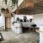Coral Club