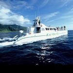 Ocean Joy Cruises