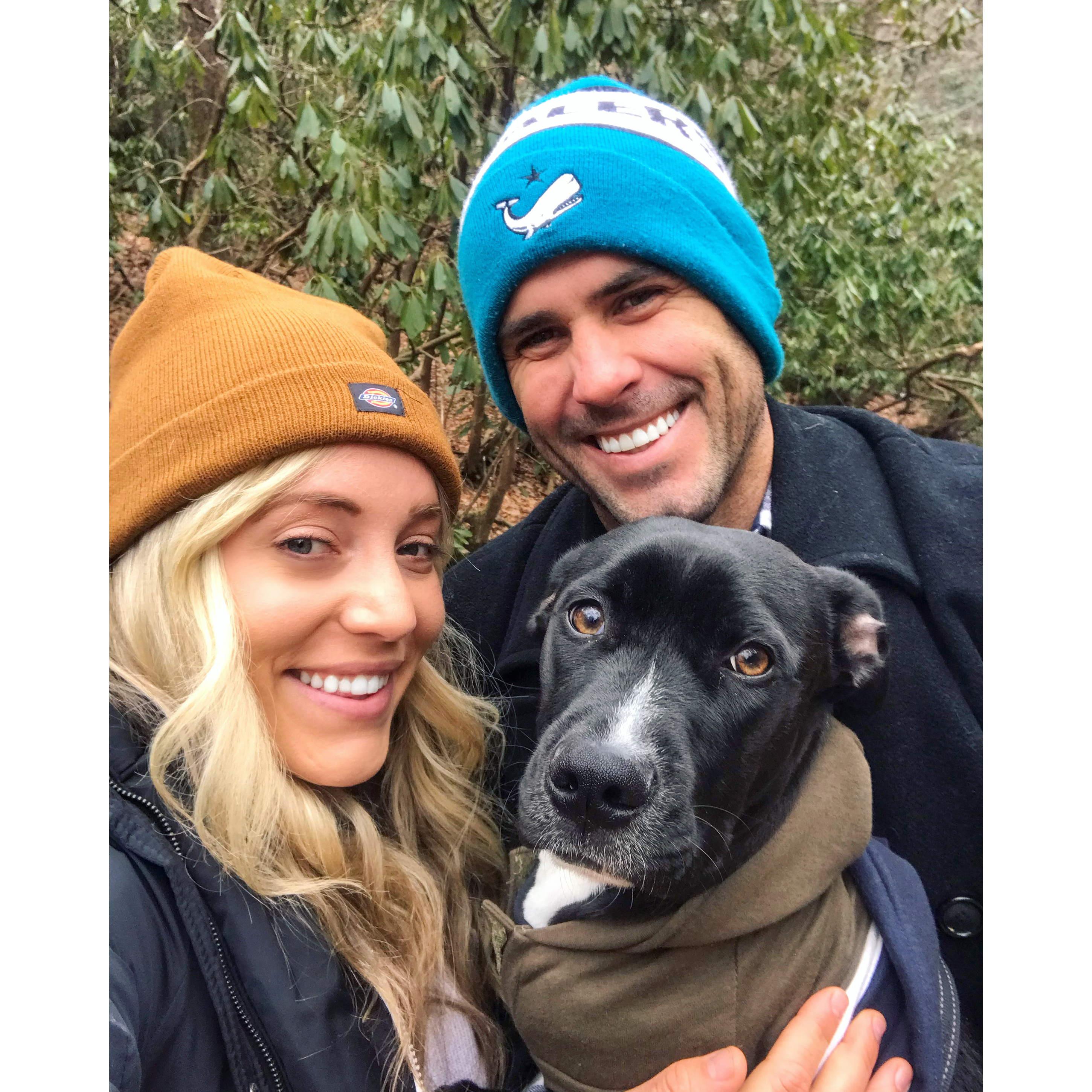 Went camping up in Ashville three weeks after getting Jett. This was at the Biltmore Mansion while it was snowing.
