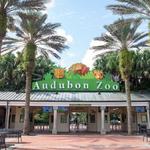 Audubon Zoo