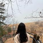 Rosy Mound Natural Area