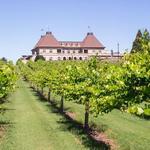 Chateau Elan Winery & Resort