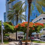 Rothschild Boulevard