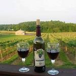 Kreutz Creek Vineyards