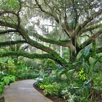 Harry P. Leu Gardens