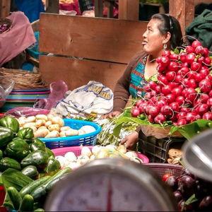 Antigua Cooking Class and Market Tour