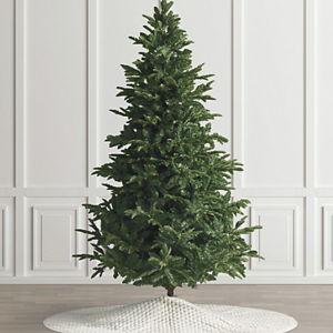Our First Christmas Tree Fund