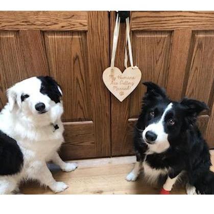 Ring bearers . . . They worked hard this week and are exhausted!