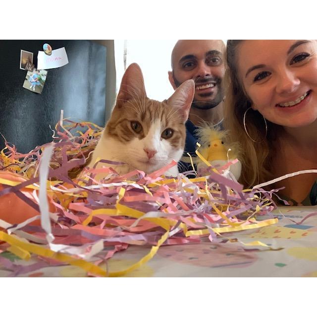 We kinda love our cat.... lol Easter 2020
