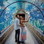 Shark Reef Aquarium at Mandalay Bay