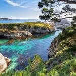 Point Lobos State Natural Reserve