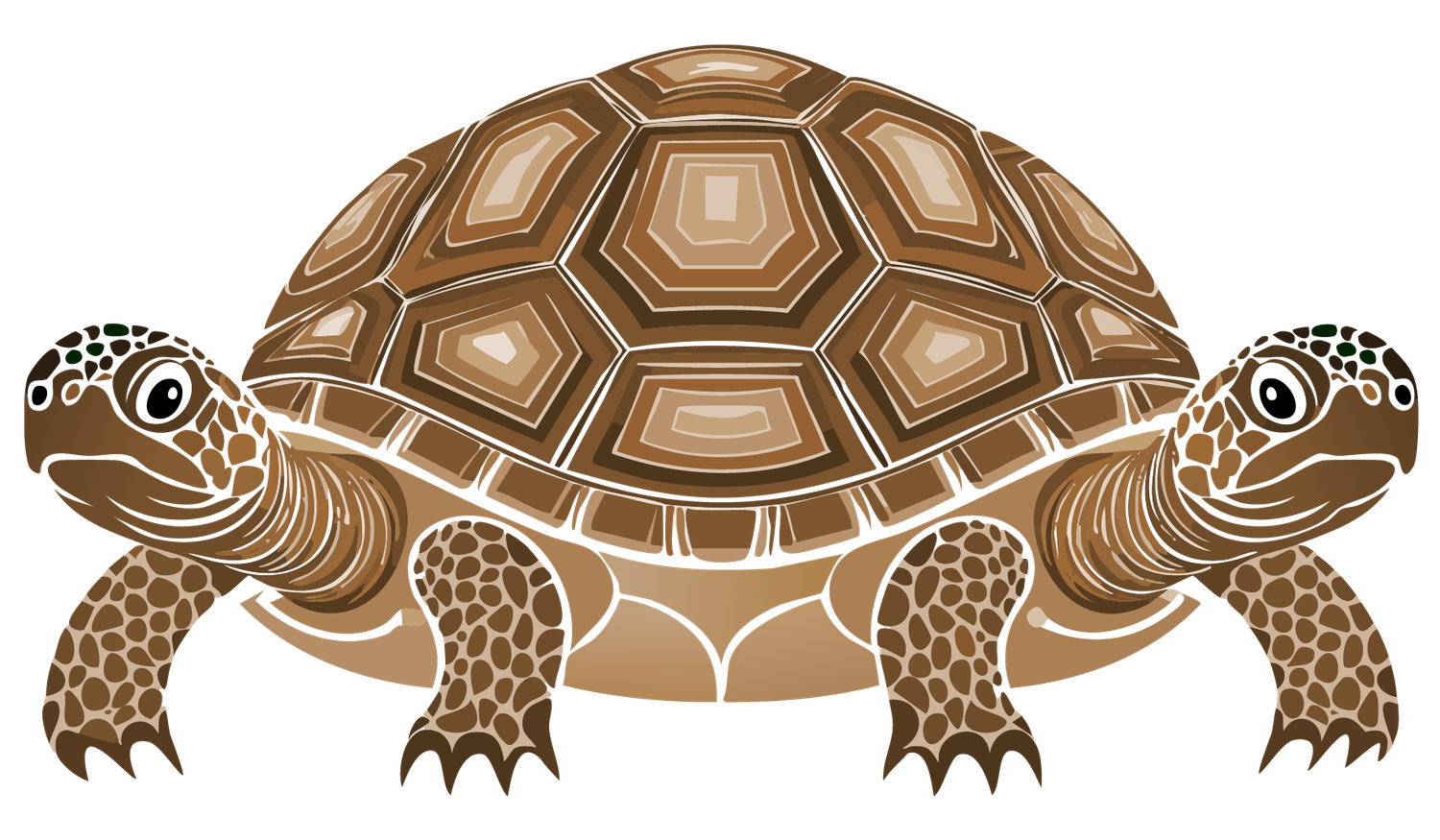 Footer image