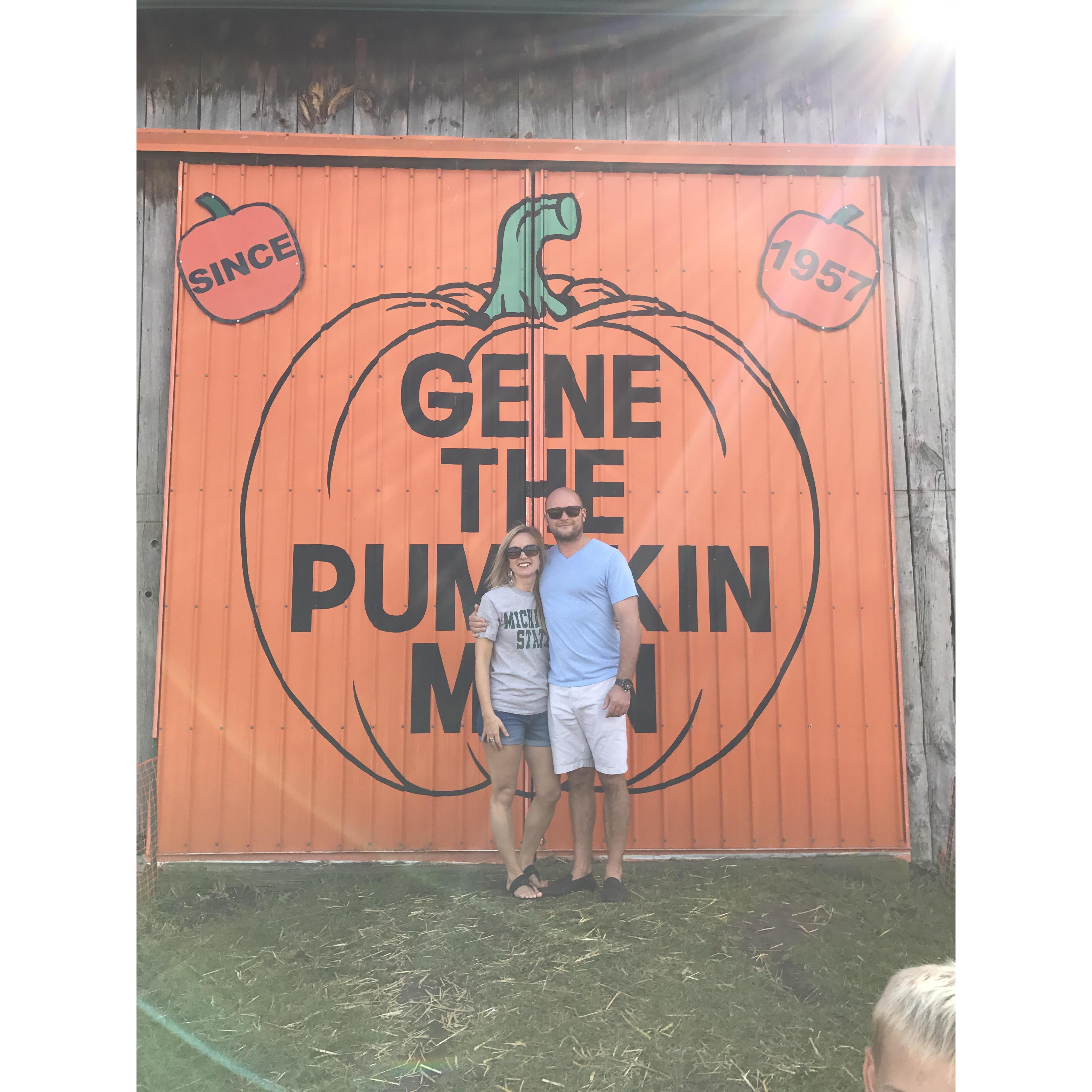 Pumpkin Patch