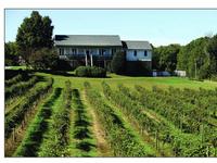 Hartwood Winery Inc