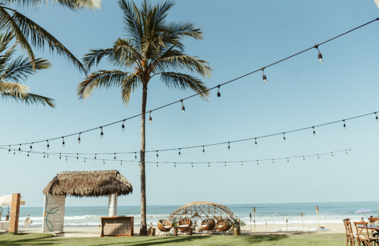 The Wedding Website of David Murray Cohen and Dani Wong