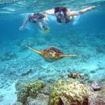 Snorkeling