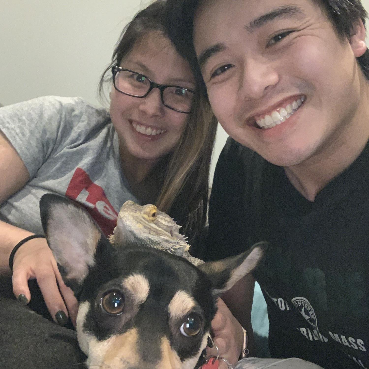 Our little family featuring Joe-Joe the mixed mutt and Dino the bearded dragon