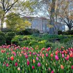 Cheekwood Botanical Garden and Art Museum