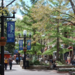 Pearl Street Mall