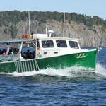 Lulu Lobster Boat Ride