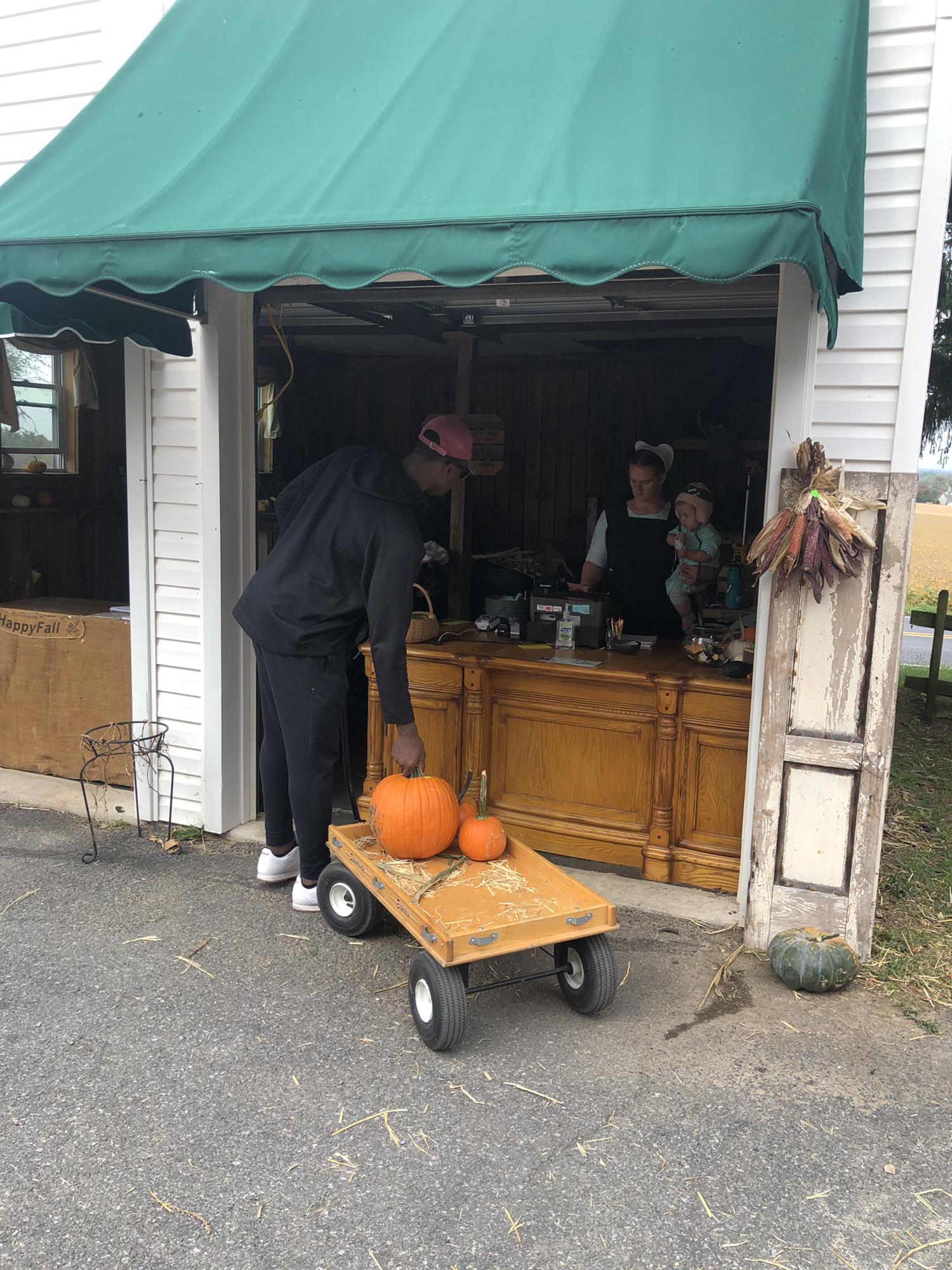 Buying pumpkins from the Amish!