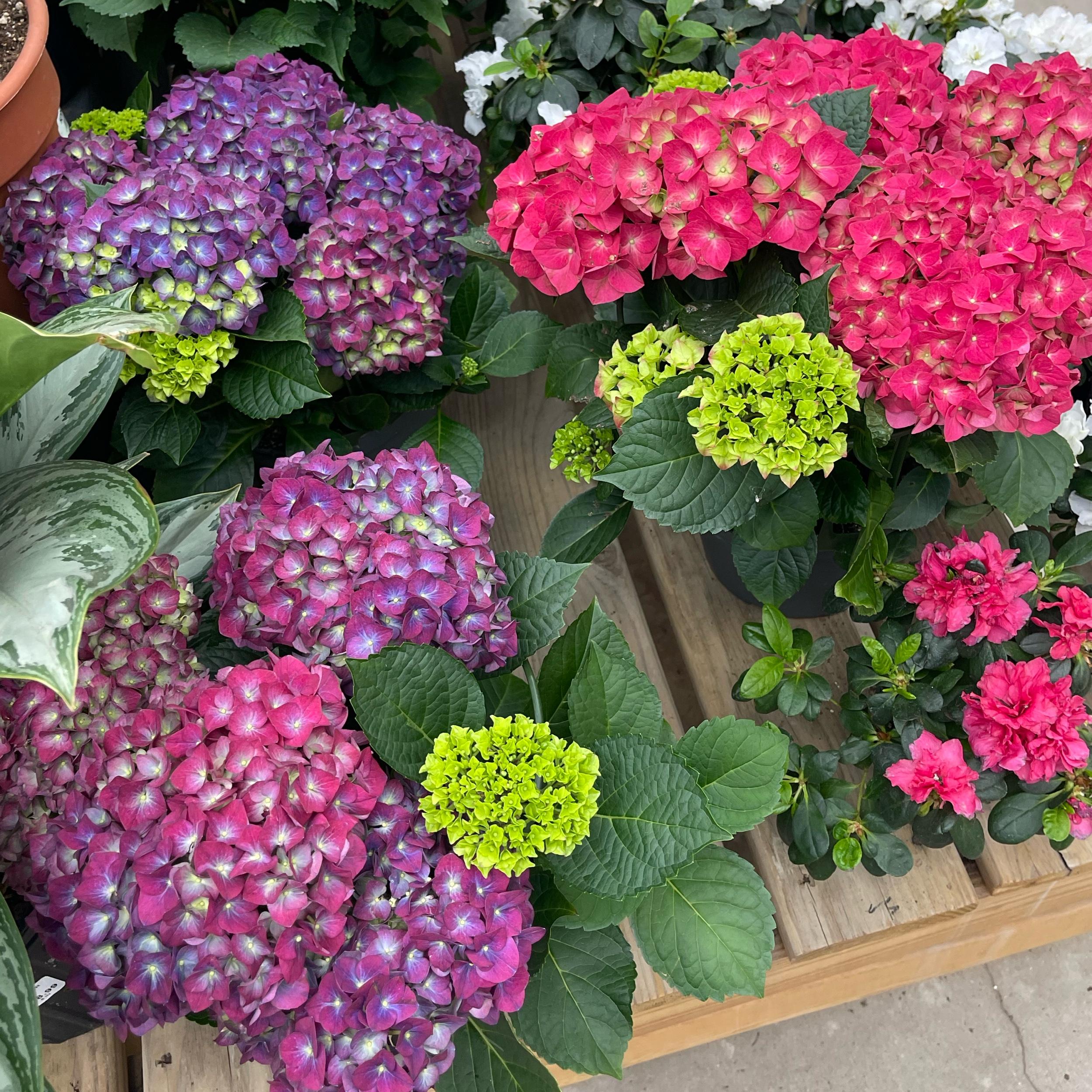 First Home Down Payment 🏡🤍