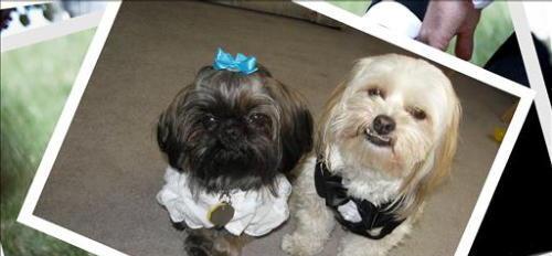 The Wedding Website of Amaris Chan and Matthew Payne