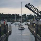 Ballard Locks Fish Ladder