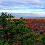 Rocky Woods