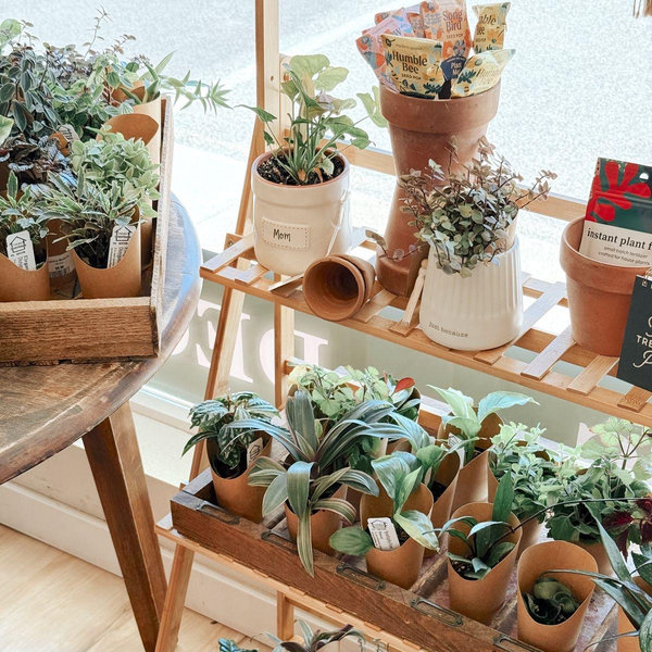 Plant Parent Starter Pack