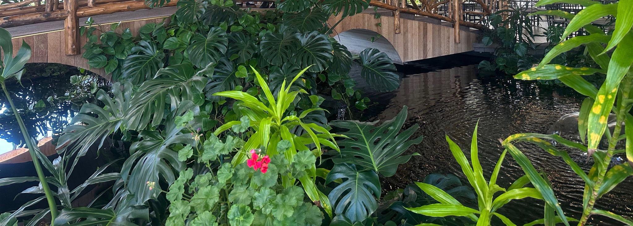 35730326-d5e5-4ff6-8b3f-be32464a300b